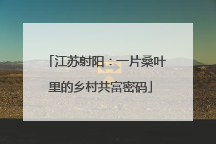江苏射阳：一片桑叶里的乡村共富密码