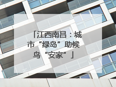江西南昌：城市“绿岛”助候鸟“安家”