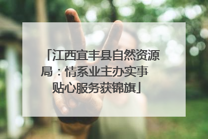 江西宜丰县自然资源局：情系业主办实事 贴心服务获锦旗
