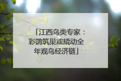江西鸟类专家：彩鹮筑巢或撬动全年观鸟经济链