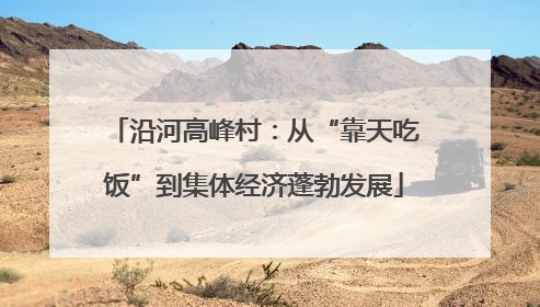 沿河高峰村：从“靠天吃饭”到集体经济蓬勃发展