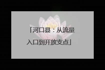 河口县：从流量入口到开放支点