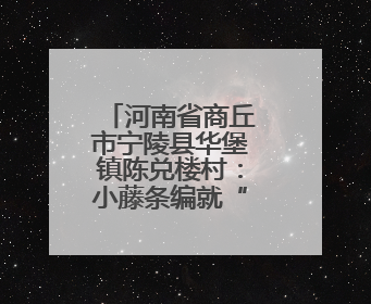 河南省商丘市宁陵县华堡镇陈兑楼村：小藤条编就“幸福图”