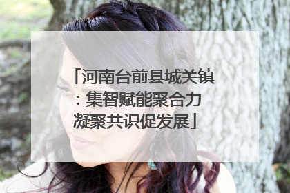 河南台前县城关镇：集智赋能聚合力 凝聚共识促发展