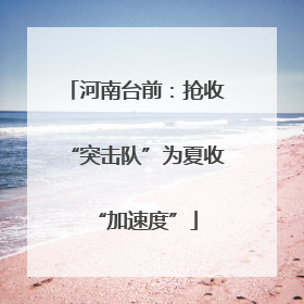 河南台前：抢收“突击队”为夏收“加速度”