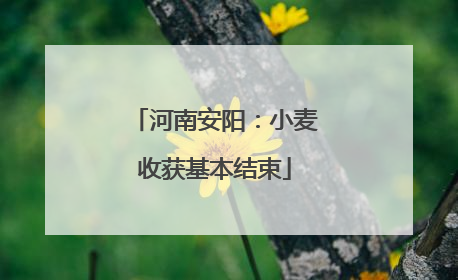 河南安阳：小麦收获基本结束
