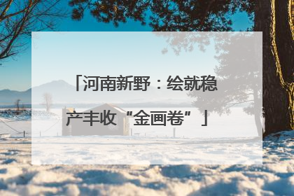 河南新野：绘就稳产丰收“金画卷”