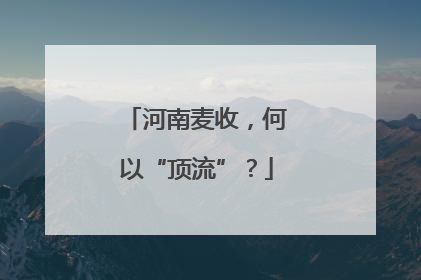 河南麦收，何以“顶流”？