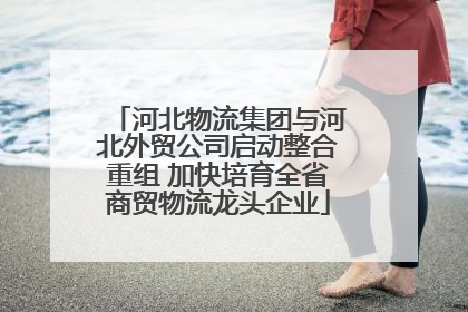 河北物流集团与河北外贸公司启动整合重组 加快培育全省商贸物流龙头企业