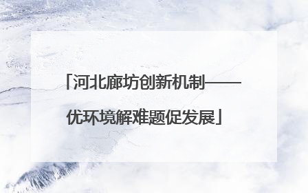 河北廊坊创新机制——优环境解难题促发展