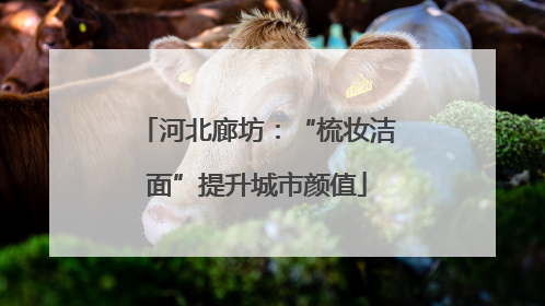 河北廊坊：“梳妆洁面”提升城市颜值