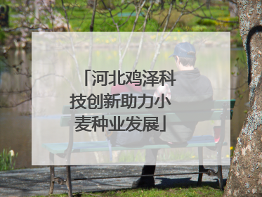 河北鸡泽科技创新助力小麦种业发展