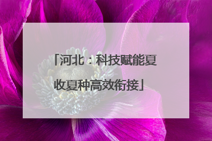 河北：科技赋能夏收夏种高效衔接
