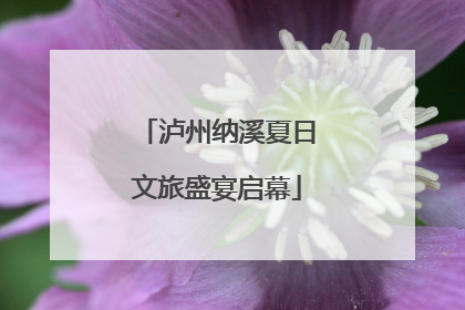泸州纳溪夏日文旅盛宴启幕