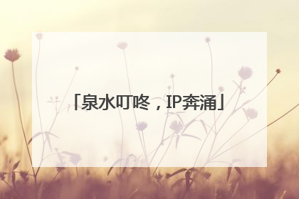 泉水叮咚，IP奔涌