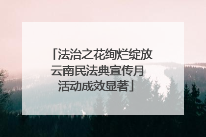 法治之花绚烂绽放 云南民法典宣传月活动成效显著
