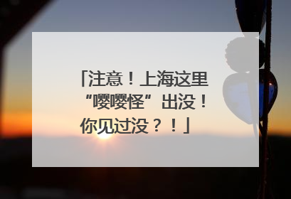 注意！上海这里“嘤嘤怪”出没！你见过没？！