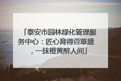 泰安市园林绿化管理服务中心：匠心育得萱草盛，一抹橙黄醉人间