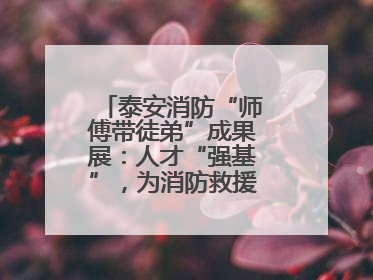 泰安消防“师傅带徒弟”成果展：人才“强基”，为消防救援事业“蓄能”