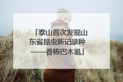 泰山首次发现山东省昆虫新记录种——香椿巴木虱