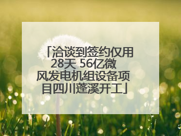 洽谈到签约仅用28天 56亿微风发电机组设备项目四川蓬溪开工