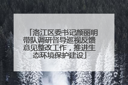 洛江区委书记颜丽明带队调研督导巡视反馈意见整改工作，推进生态环境保护建设