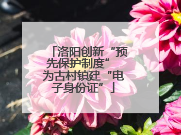 洛阳创新“预先保护制度” 为古村镇建“电子身份证”