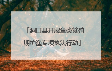 洞口县开展鱼类繁殖期护渔专项执法行动