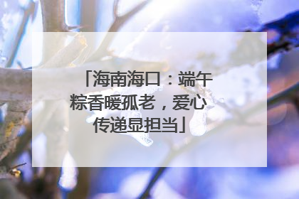 海南海口：端午粽香暖孤老，爱心传递显担当