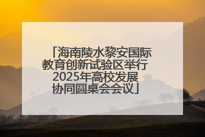 海南陵水黎安国际教育创新试验区举行2025年高校发展协同圆桌会会议