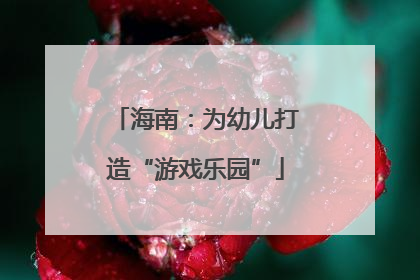 海南：为幼儿打造“游戏乐园”