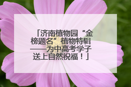 济南植物园“金榜题名”植物特辑——为中高考学子送上自然祝福！