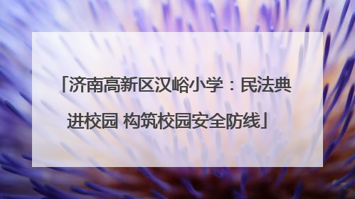济南高新区汉峪小学：民法典进校园 构筑校园安全防线