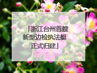 浙江台州首艘新型边检执法艇正式归建