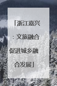 浙江嘉兴：文旅融合促进城乡融合发展