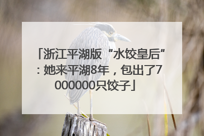 浙江平湖版“水饺皇后”：她来平湖8年，包出了7000000只饺子