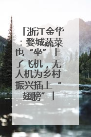 浙江金华：婺城蔬菜也“坐”上了飞机，无人机为乡村振兴插上“翅膀”