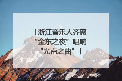 浙江音乐人齐聚“金东之夜”唱响“光南之曲”