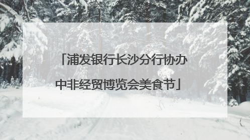 浦发银行长沙分行协办中非经贸博览会美食节
