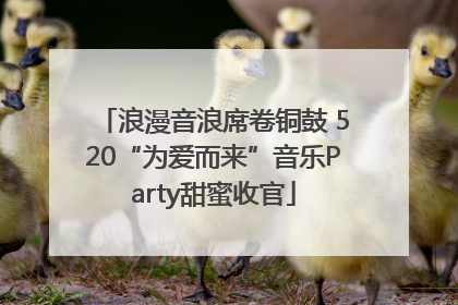 浪漫音浪席卷铜鼓 520“为爱而来”音乐Party甜蜜收官