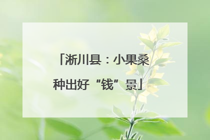 淅川县：小果桑种出好“钱”景