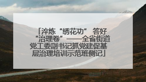 淬炼“绣花功” 答好“治理卷”——全省街道党工委副书记抓党建促基层治理培训示范班侧记