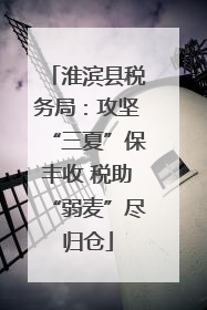 淮滨县税务局：攻坚“三夏”保丰收 税助“弱麦”尽归仓