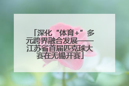 深化“体育+”多元跨界融合发展——江苏省首届匹克球大赛在无锡开赛