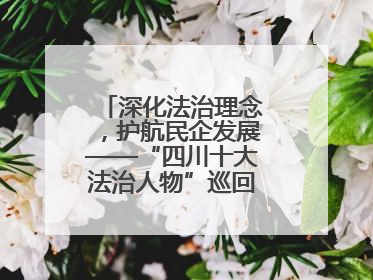 深化法治理念，护航民企发展——“四川十大法治人物”巡回宣讲走进宜宾