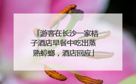 游客在长沙一家桔子酒店早餐中吃出蒸熟蟑螂，酒店回应