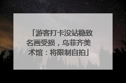 游客打卡没站稳致名画受损，乌菲齐美术馆：将限制自拍