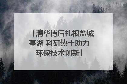 清华博后扎根盐城亭湖 科研热土助力环保技术创新