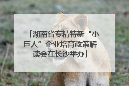 湖南省专精特新“小巨人”企业培育政策解读会在长沙举办