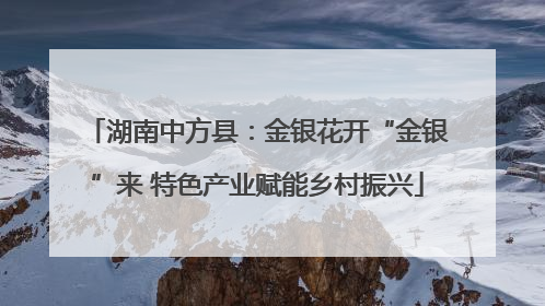 湖南中方县：金银花开“金银”来 特色产业赋能乡村振兴